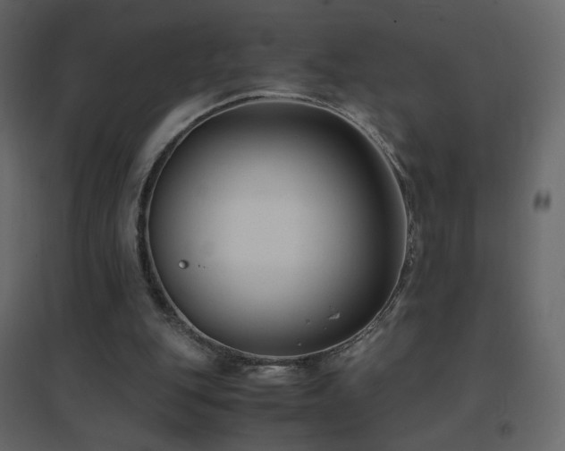 X0000096650151200802051203