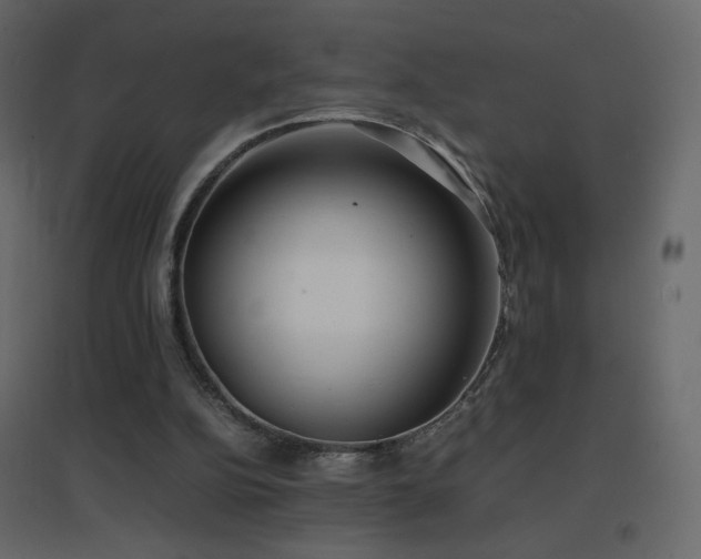 X0000096650152200802051203