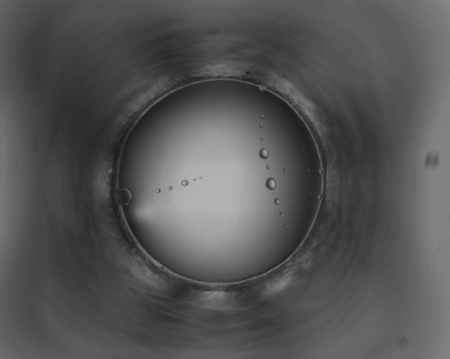 X0000096650153200802051203