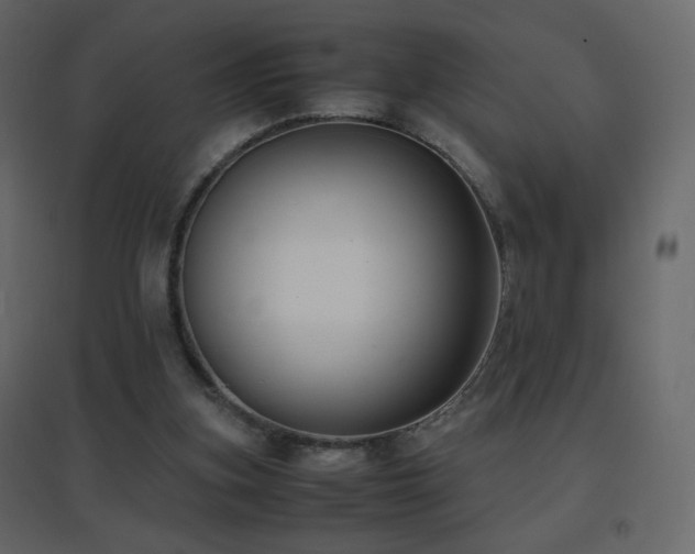 X0000096650155200802051203