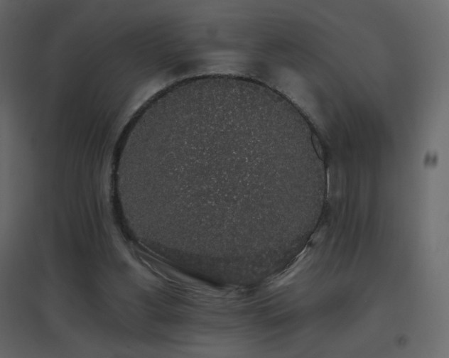 X0000096650156200802051203