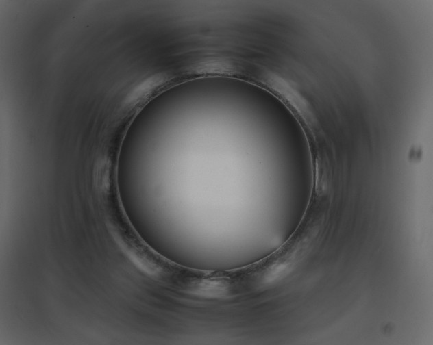 X0000096650157200802051203