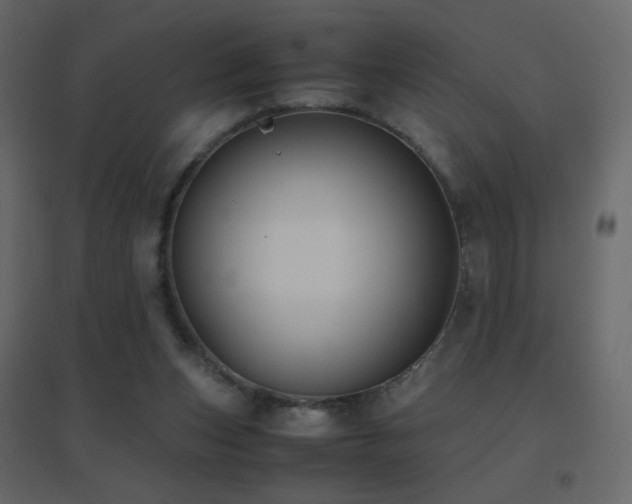 X0000096650159200802051203