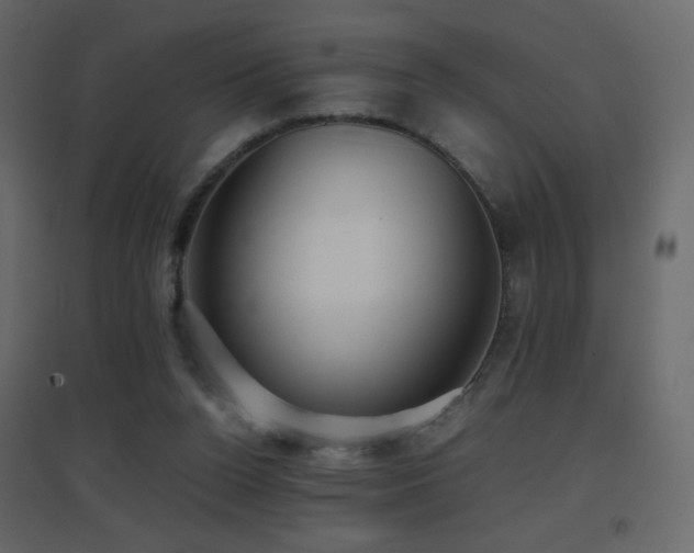 X0000096650160200802051203