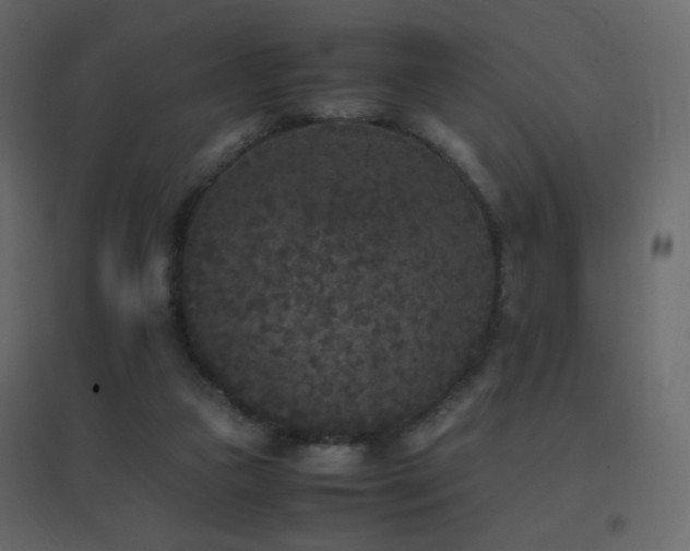 X0000096650161200802051203