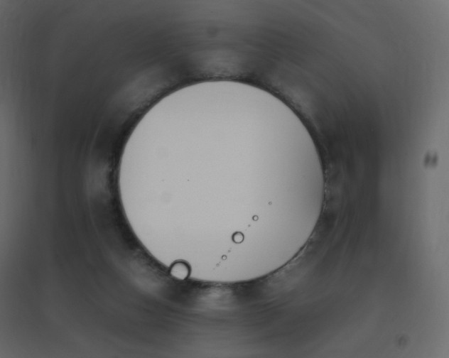 X0000096650162200802051203