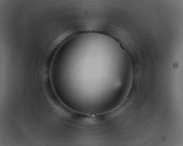 X0000096650164200802051203