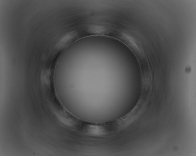 X0000096650167200802051203