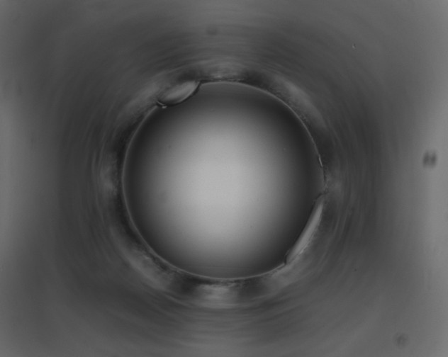 X0000096650170200802051203