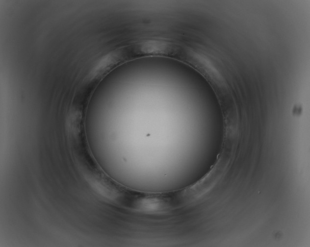 X0000096650171200802051203