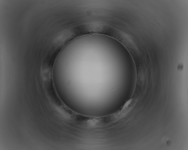 X0000096650172200802051203