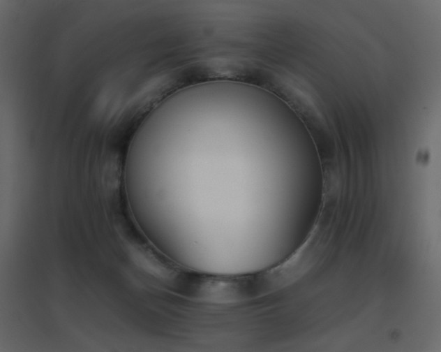 X0000096650174200802051204