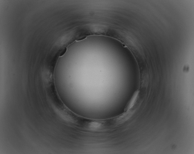 X0000096650176200802051204