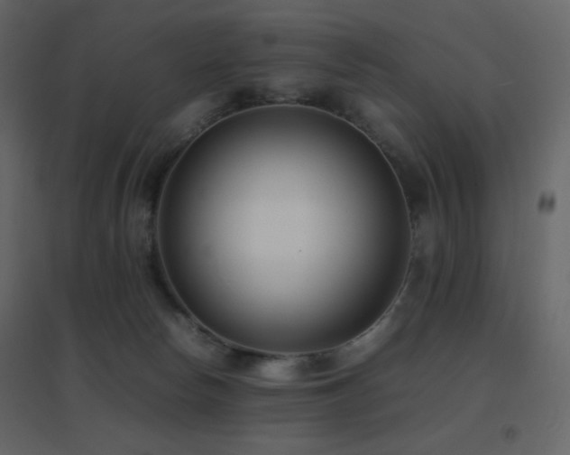 X0000096650178200802051204