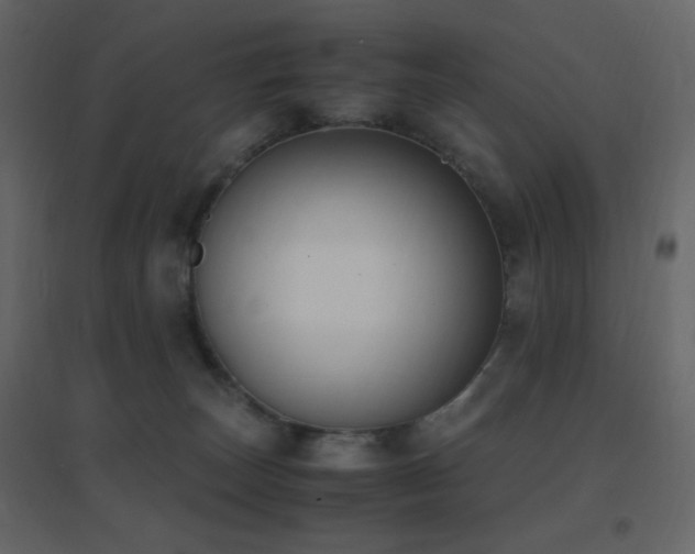 X0000096650179200802051204