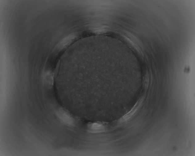 X0000096650180200802051204