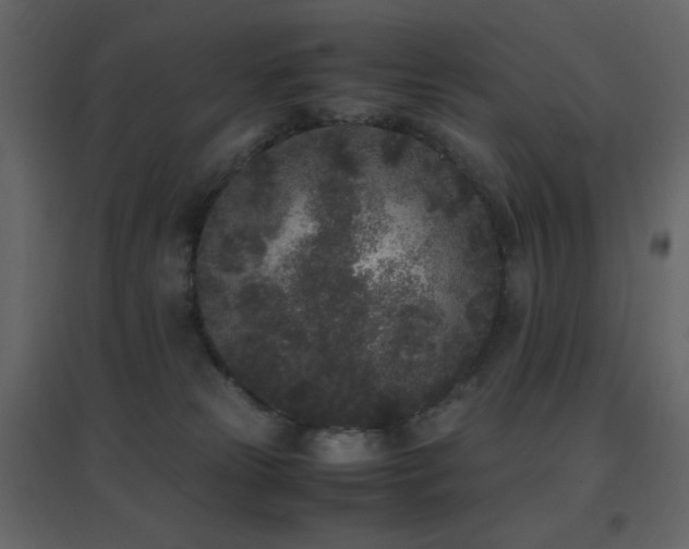 X0000096650181200802051204