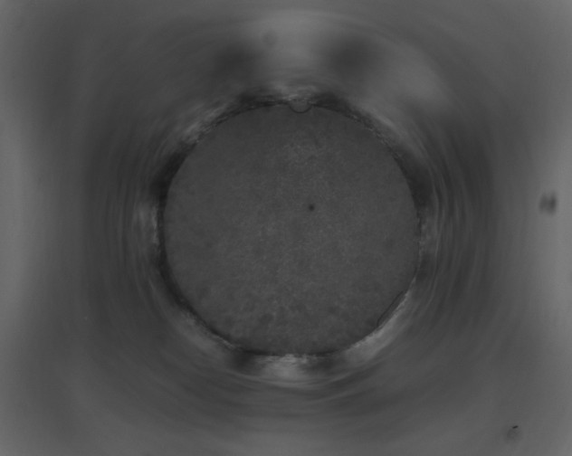 X0000096650182200802051204