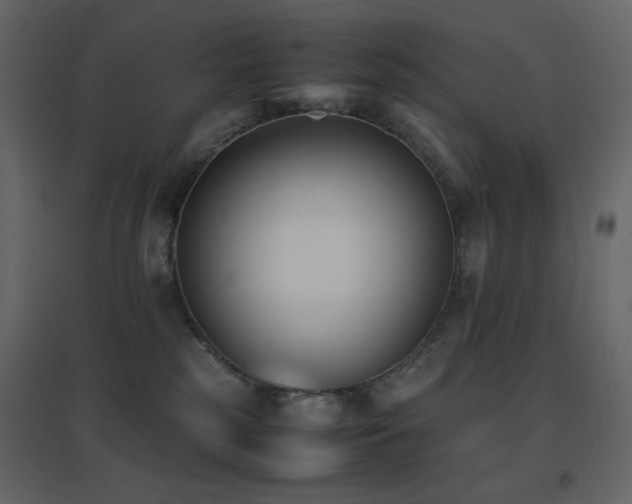 X0000096650185200802051204
