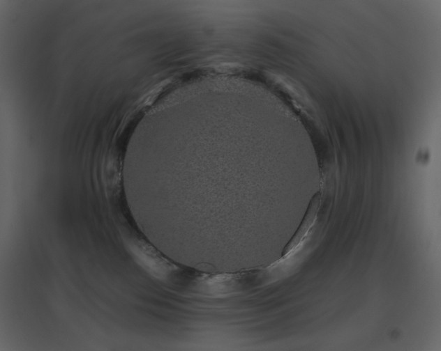 X0000096650186200802051204