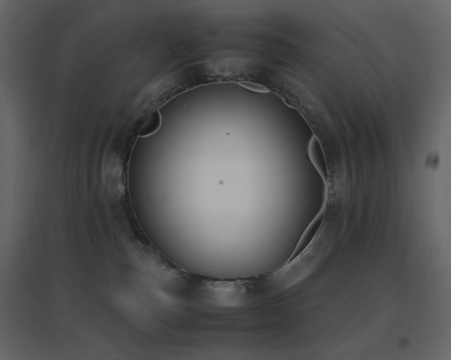 X0000096650187200802051204