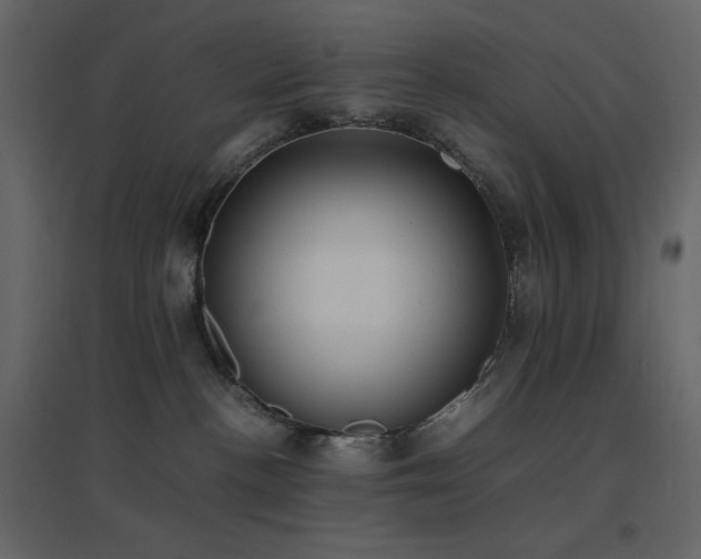 X0000096650188200802051204