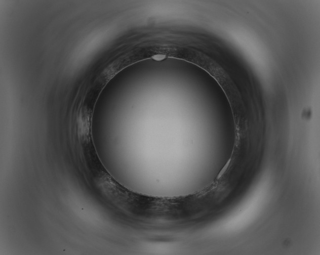 X0000096650190200802051204