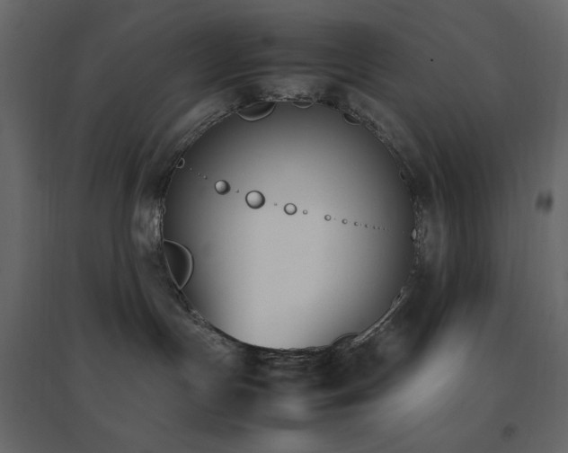 X0000096650191200802051204