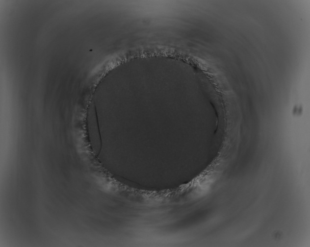 X0000096650192200802051204