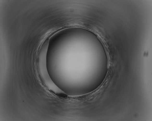 X0000096650193200802051203