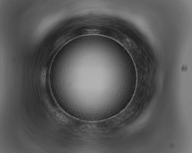 X0000096650194200802051203