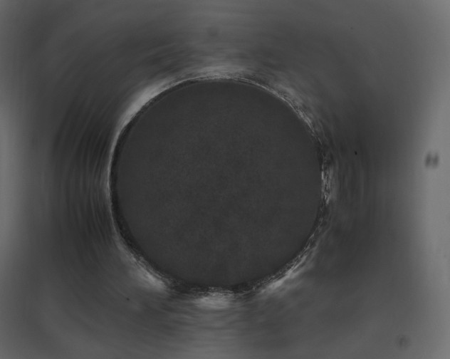 X0000096650196200802051203