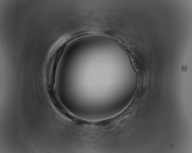 X0000096650197200802051203