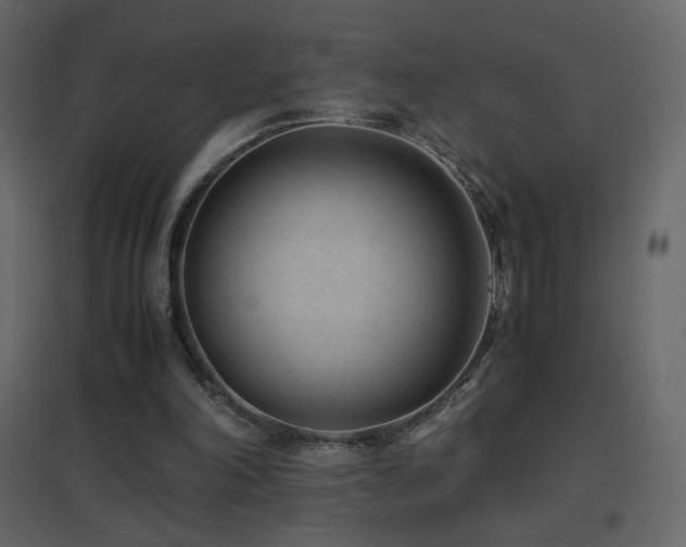 X0000096650198200802051203