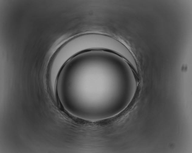 X0000096650199200802051203