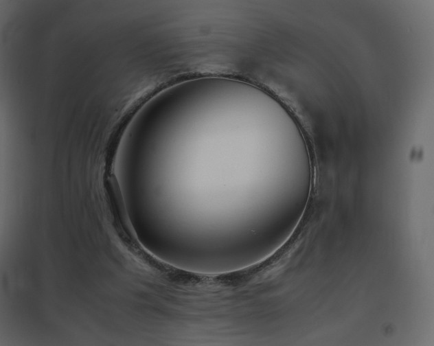 X0000096650201200802051203