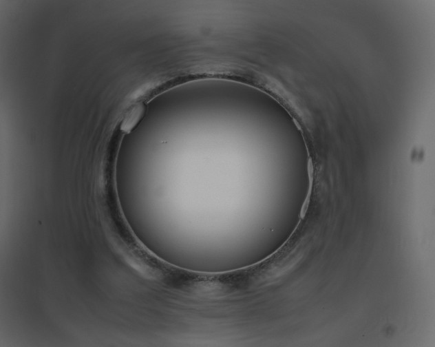 X0000096650203200802051203