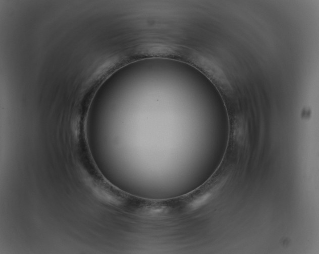 X0000096650206200802051203