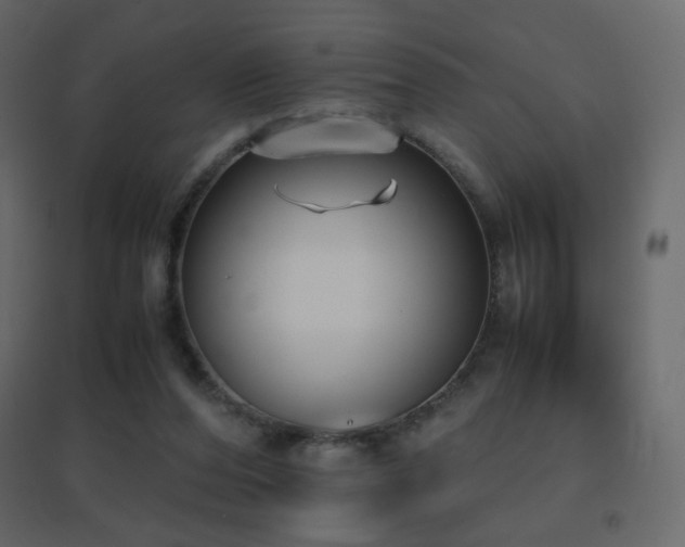 X0000096650208200802051203