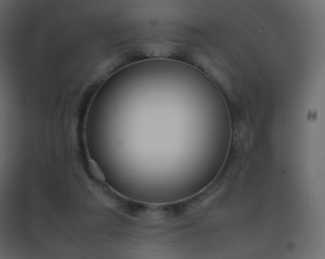 X0000096650209200802051203