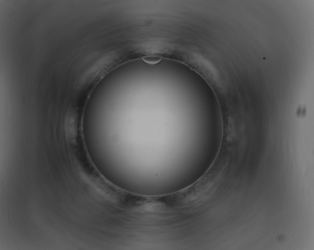 X0000096650210200802051203