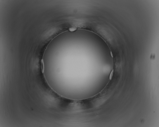 X0000096650211200802051203