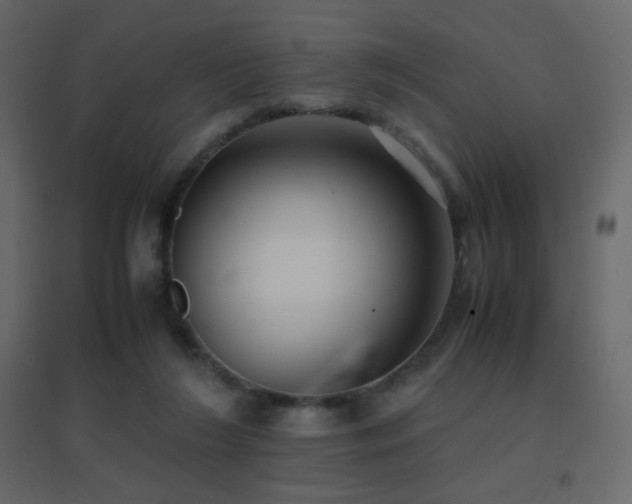 X0000096650212200802051203