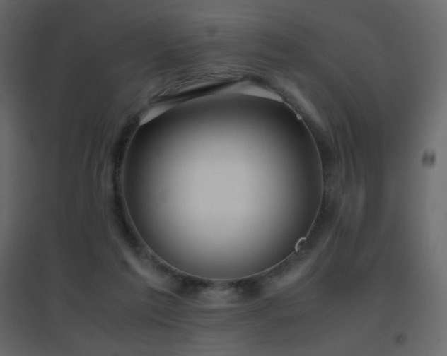 X0000096650213200802051203