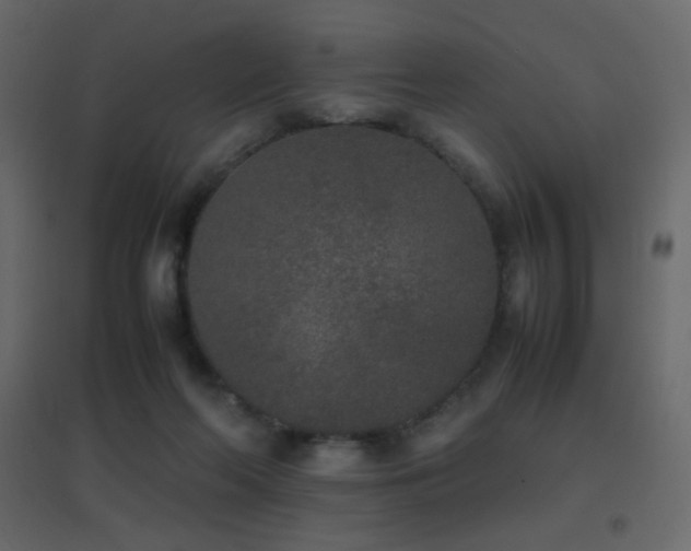 X0000096650214200802051203