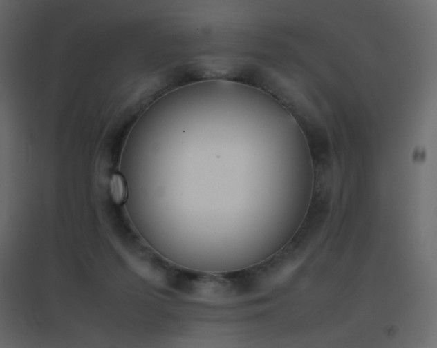 X0000096650215200802051203