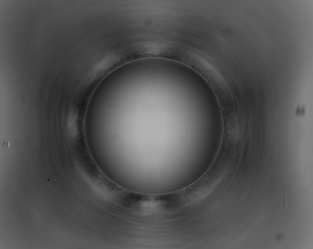 X0000096650216200802051203