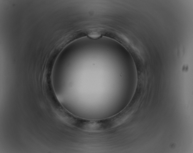 X0000096650217200802051203