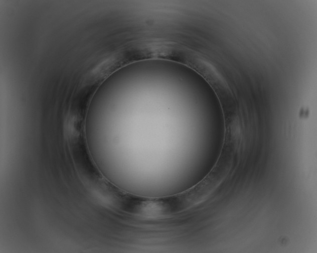 X0000096650218200802051203