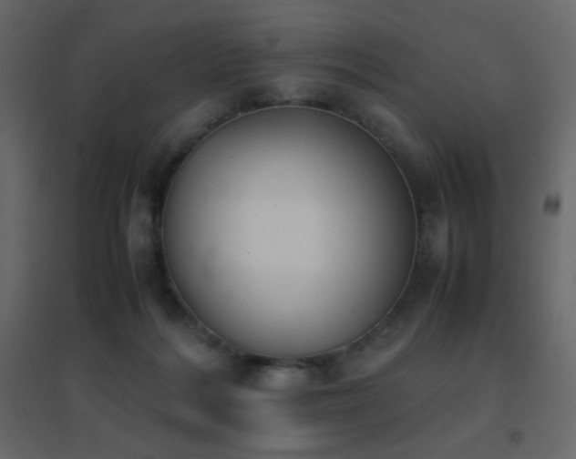 X0000096650220200802051203